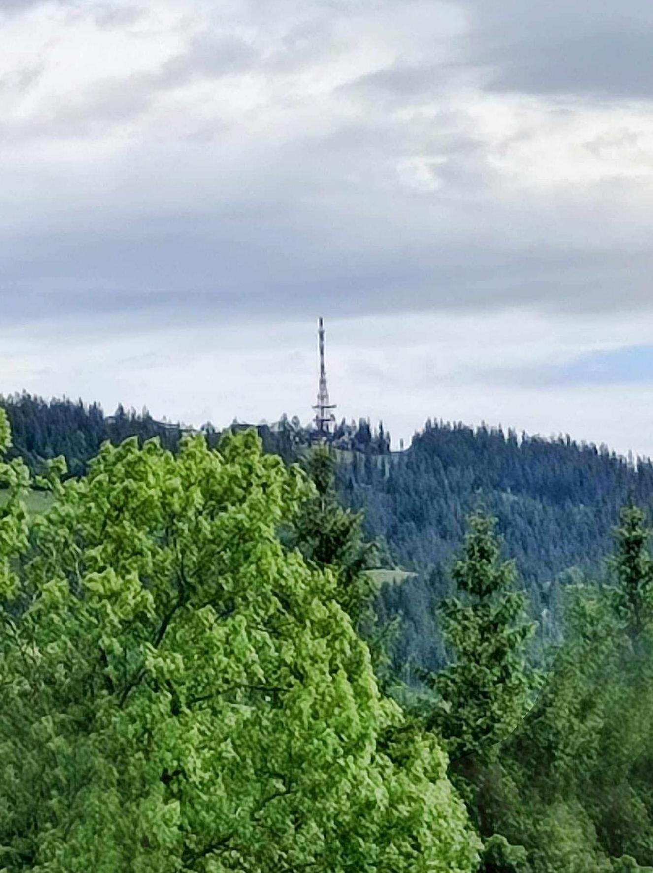Dom Lesnik Leilighet Zakopane Eksteriør bilde
