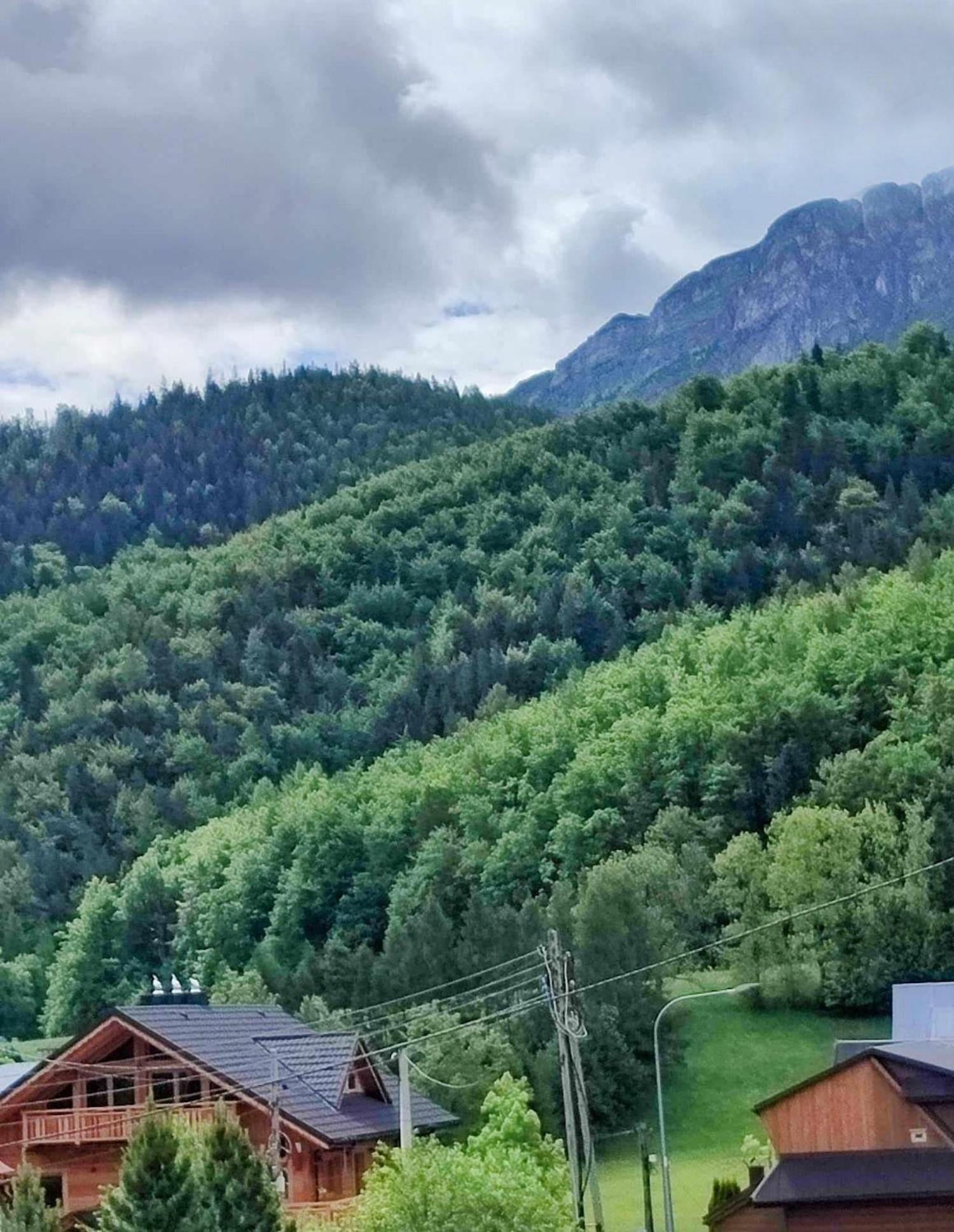 Dom Lesnik Leilighet Zakopane Eksteriør bilde