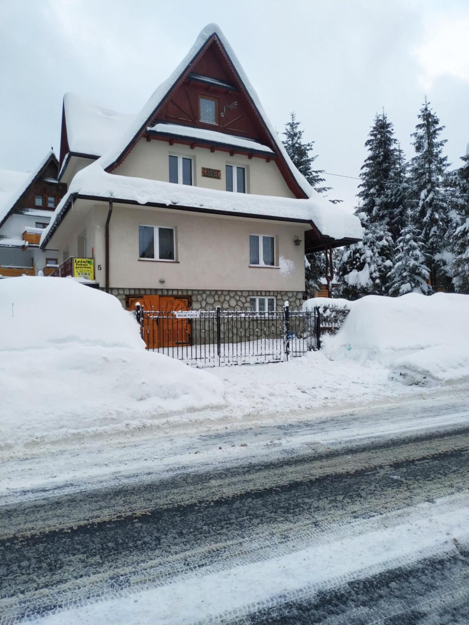 Dom Lesnik Leilighet Zakopane Eksteriør bilde